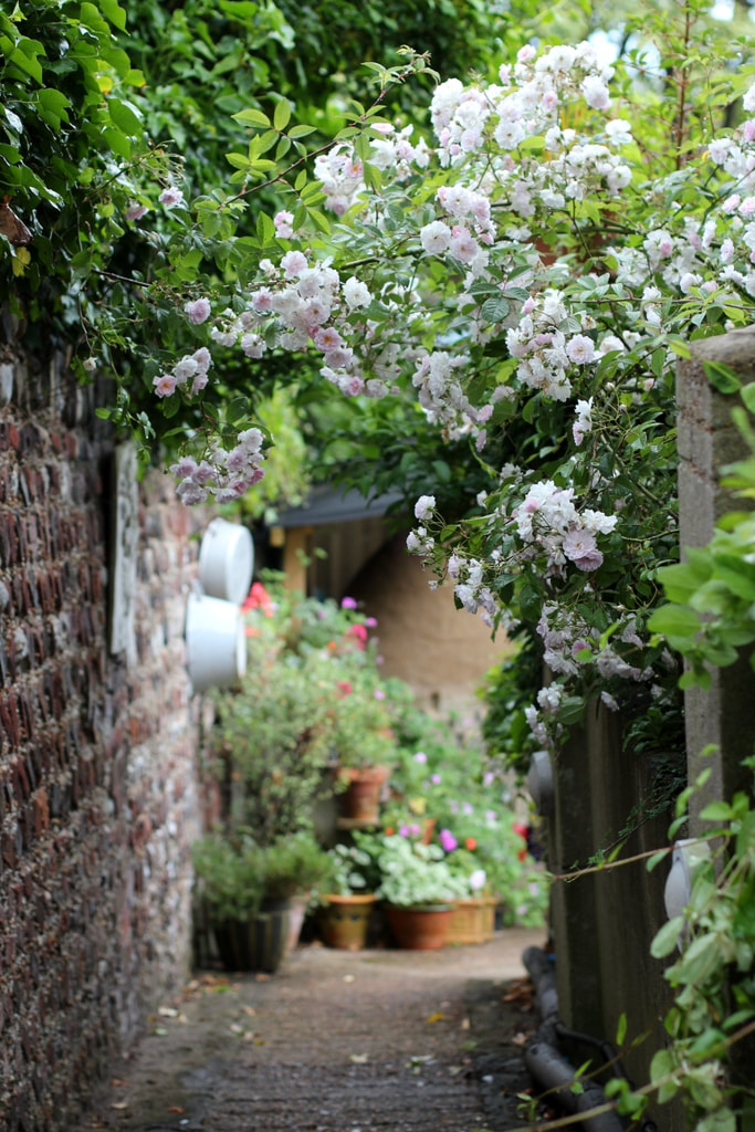 Things to do in Brighton & Hove #1 - Attend a course at the Garden House secret garden, just off Ditchling Road